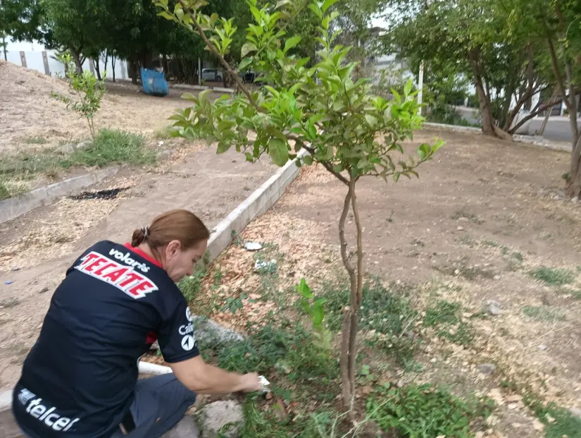 imagen recuadro En al Parque Elektra cuentan con sistema de riego por goteo par eficientar el uso del agua en las plantas.