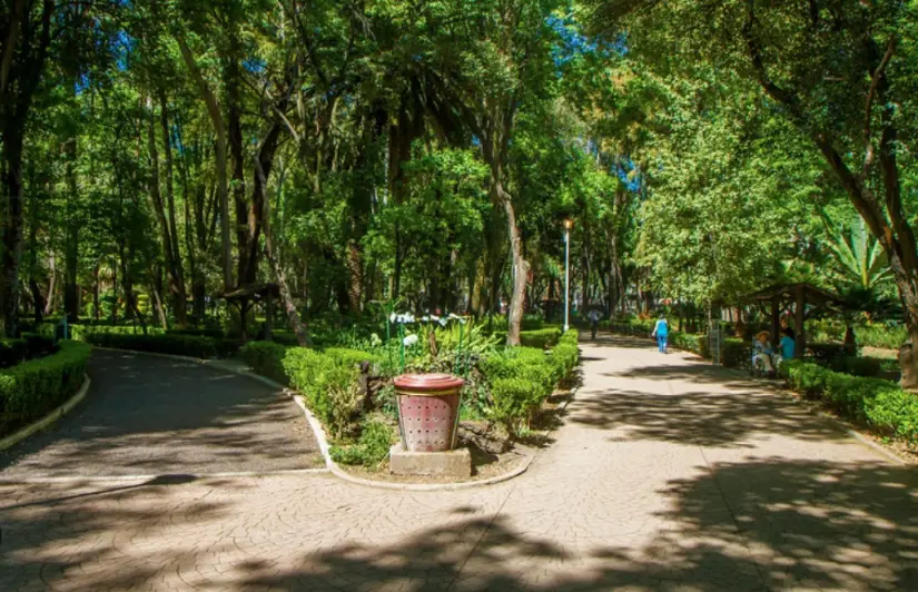 Parque México en CDMX. Foto: cortesía Parque México en CDMX. Foto: cortesía.