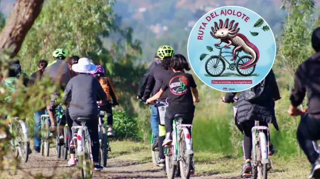 Participa en la Ruta del Ajolote y disfruta de la naturaleza con el recorrido biocultural en bicicleta. Foto: Cortesía.