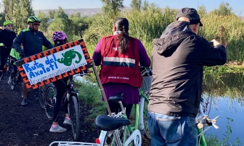 Disfruta del recorrido en bicicleta con la Ruta del Ajolote, donde no solo disfrutarás de la naturaleza, sino que también aprenderás sobre la vida de estas especies. Foto: Cortesía. Disfruta del recorrido en bicicleta con la Ruta del Ajolote, donde no solo disfrutarás de la naturaleza, sino que también aprenderás sobre la vida de estas especies. Foto: Cortesía.