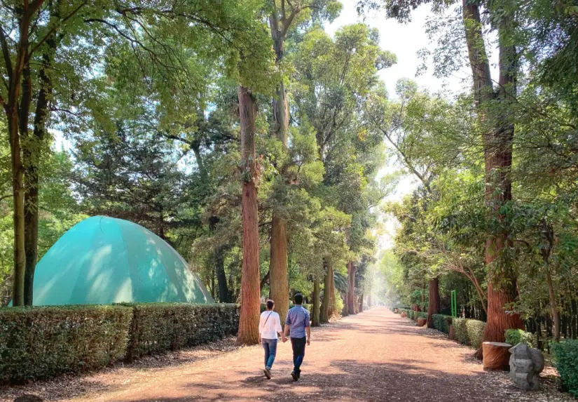 Viveros de Coyoacán en CDMX. Foto: cortesía Viveros de Coyoacán en CDMX. Foto: cortesía.