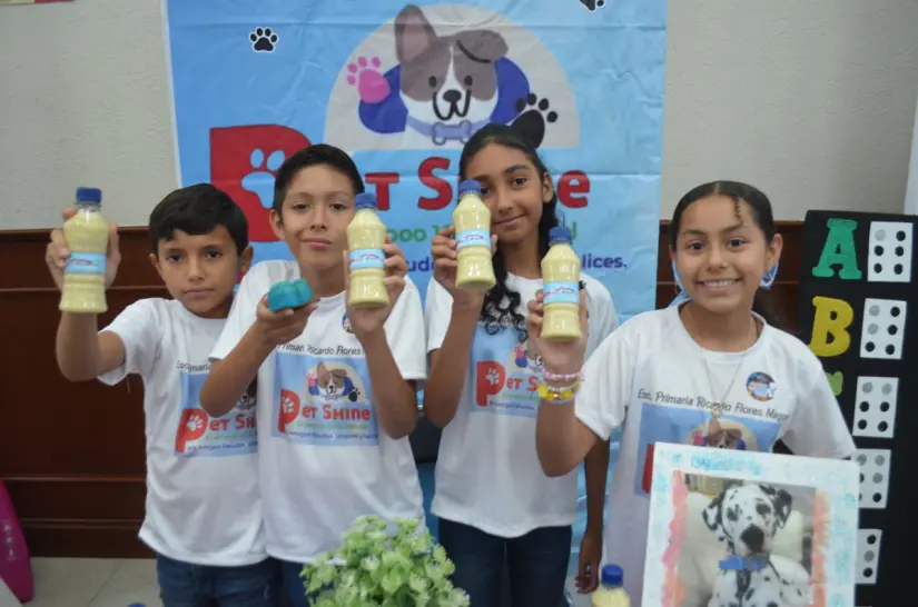 primaria Flores Magó imagen recuadro
