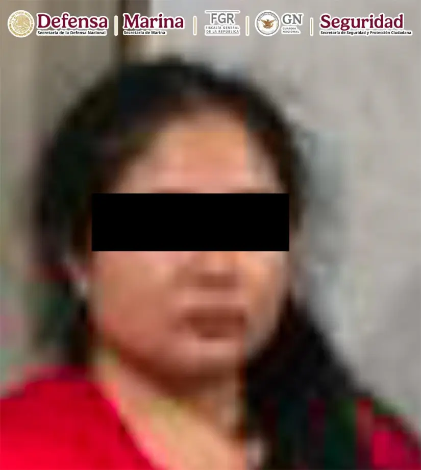 Mujer detenida en Michoacan imagen recuadro