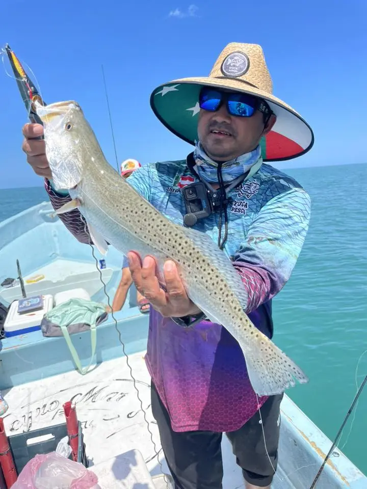 Pesca deportiva en Yucatán Pesca deportiva en Yucatán