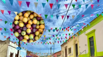 ¡Sinaloa celebra su sabor! Llega la Expo Ciruela 2025 este domingo a Aguacaliente de Gárate