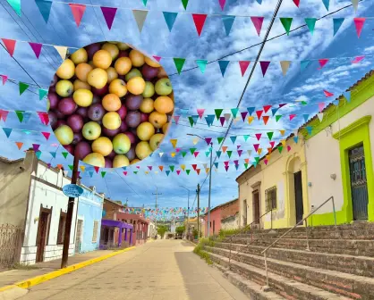 ¡Sinaloa celebra su sabor! Llega la Expo Ciruela 2025 este domingo a Aguacaliente de Gárate