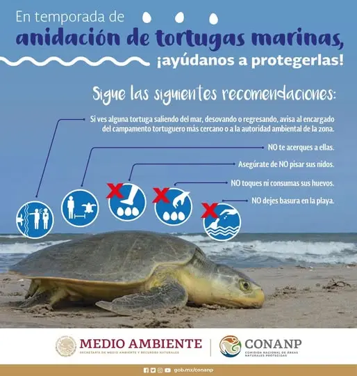 Sigue estas recomendaciones para salvaguardar el proceso de estas especies. Foto: Cortesía.