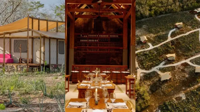 Conoce las actividades que puedes hacer en el glamping cerca de Mérida. Foto: Instargam @viaturaxtojil