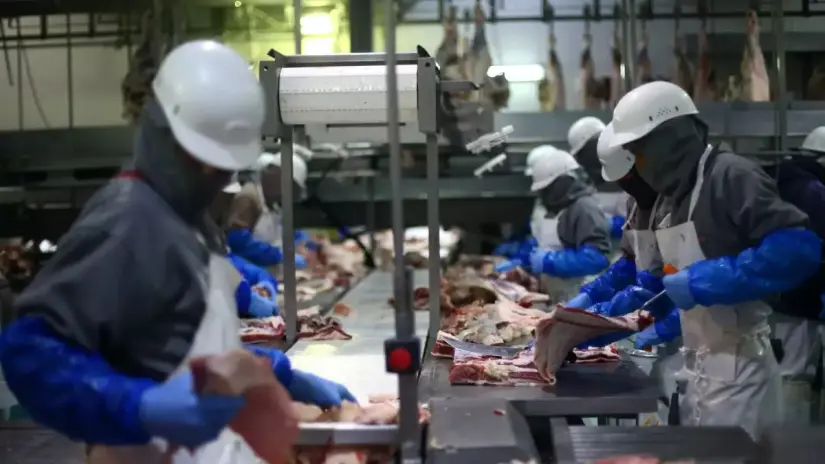 SuKarne: ¿Cómo se convirtió en la empresa de carnes líder en México? SuKarne es el líder indiscutible en la producción de carne en México. Foto: Reuters