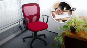Cómo hacer una denuncia ante el incumplimiento de la Ley Silla