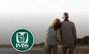 IMSS: ¿Por qué personas con los mismos años trabajados cobran diferente?