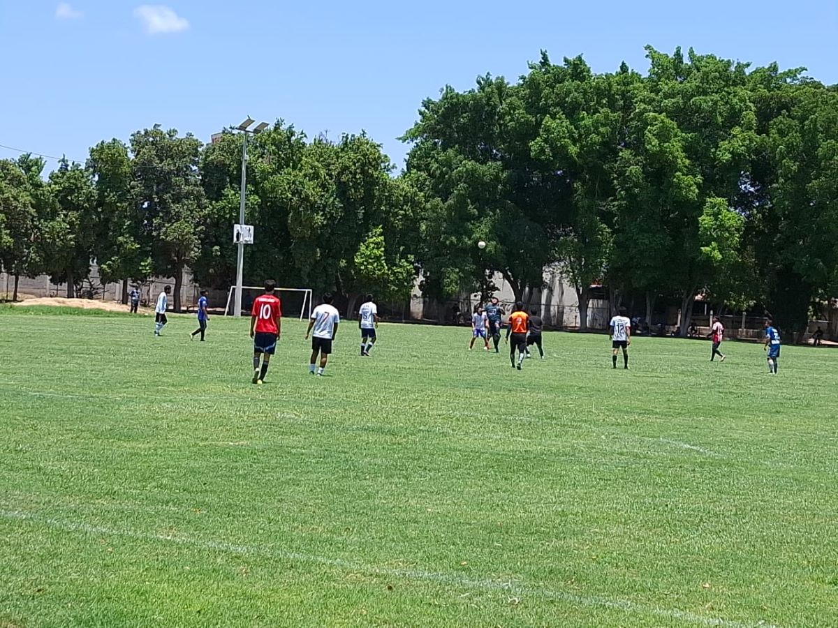 Imagen 3