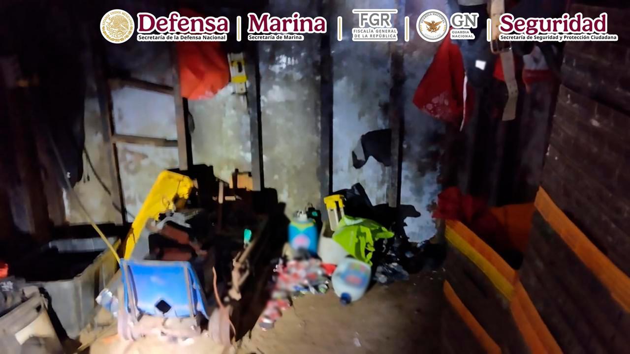 Imagen 7