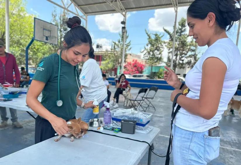 Atención gratuita a perros y gatos en Aguascalientes en junio., Foto: Cortesía Atención gratuita a perros y gatos en Aguascalientes en junio., Foto: Cortesía