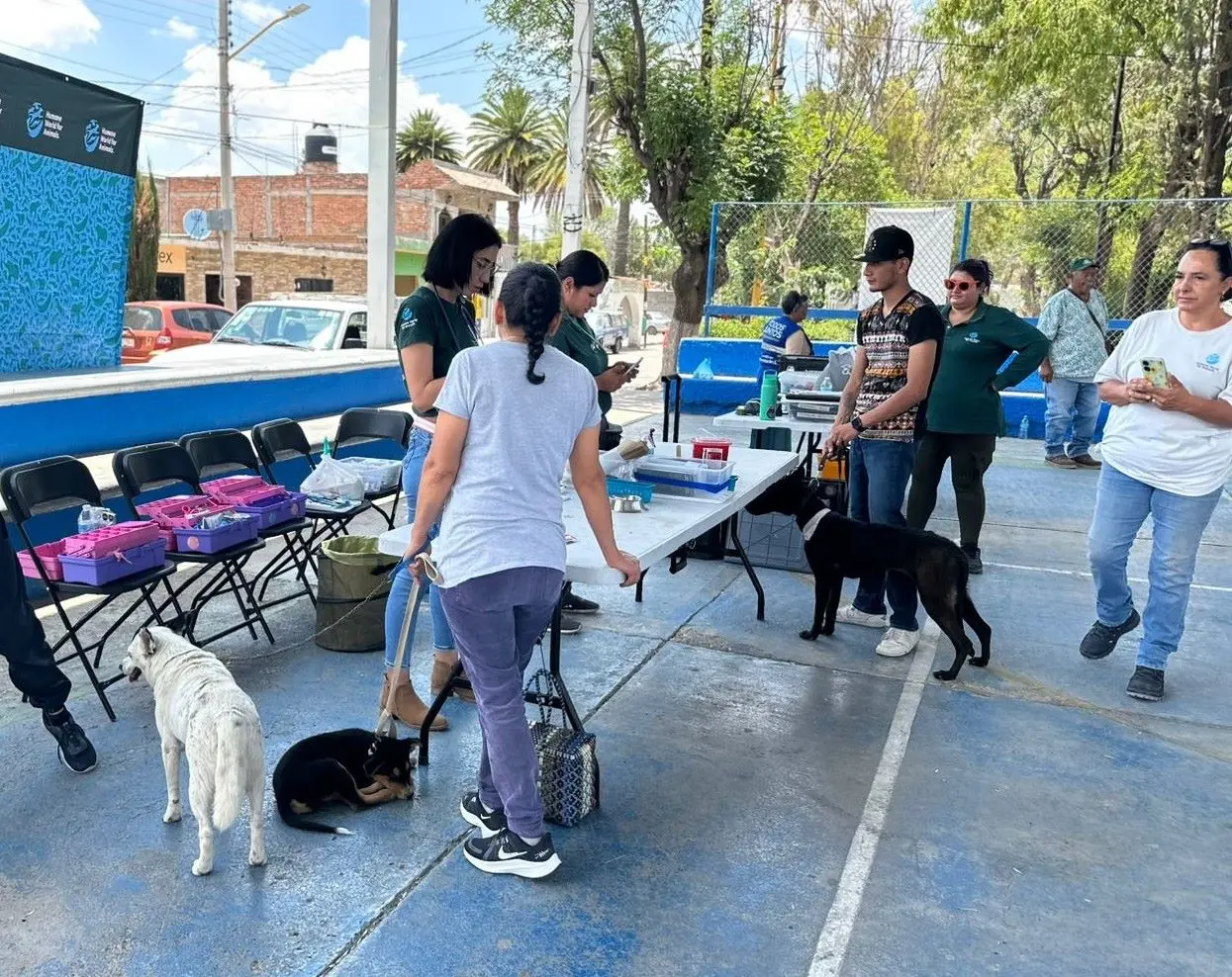 Veterinaria Móvil gratis en Aguascalientes. Foto: Cortesía