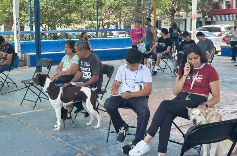 Desparasita a tu perrito y gato sin gastar en Aguascalientes Desparasita a tu perrito y gato sin gastar en Aguascalientes. Foto: Cortesía