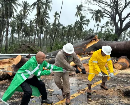 Huracán Erick: despliegan más de 34 mil elementos en Oaxaca y Guerrero para atender daños
