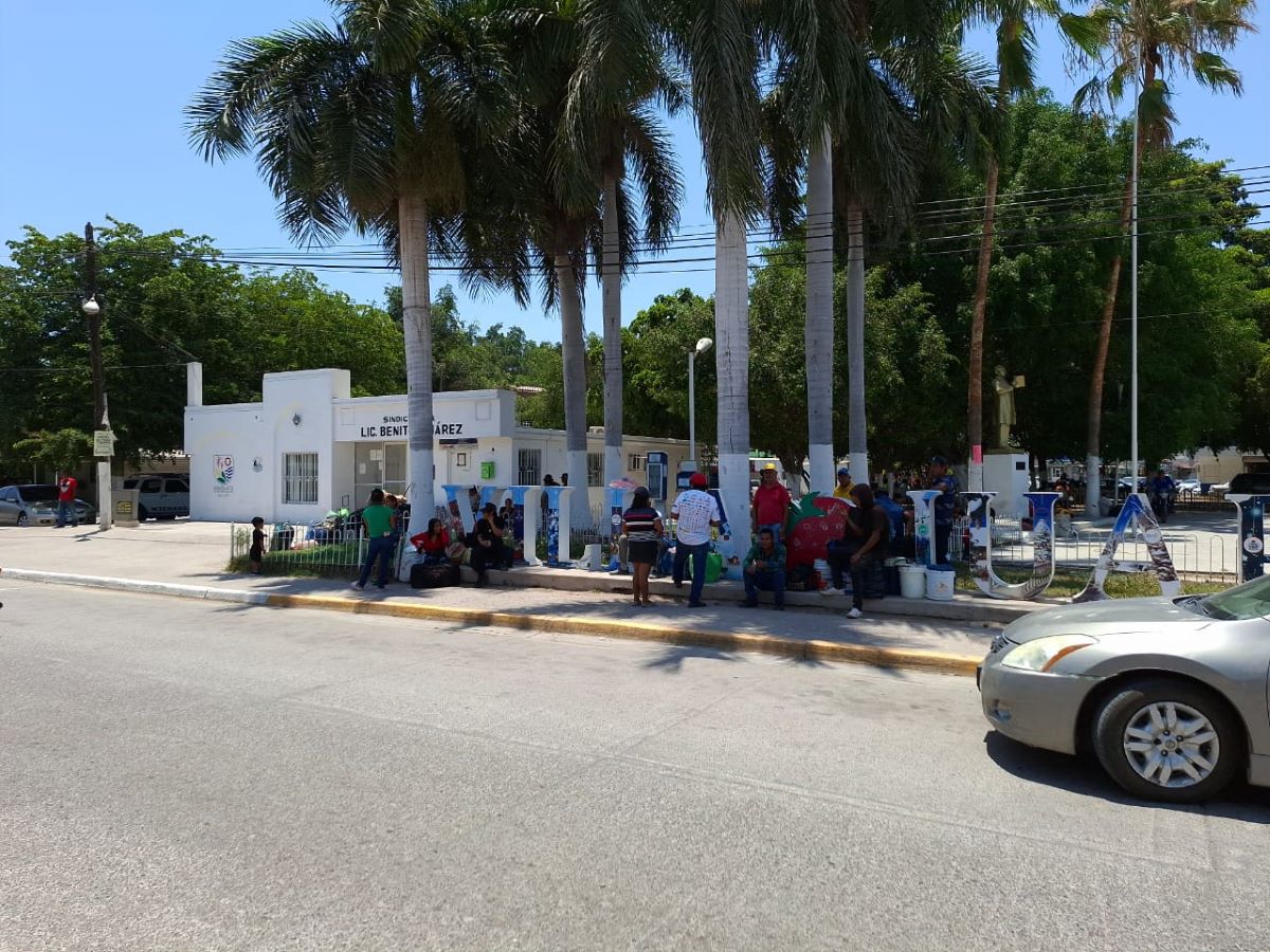 Imagen 2