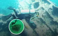 Piezas arqueológicas bajo las aguas de Baja California INAH descubre el Santo Grial de los piratas