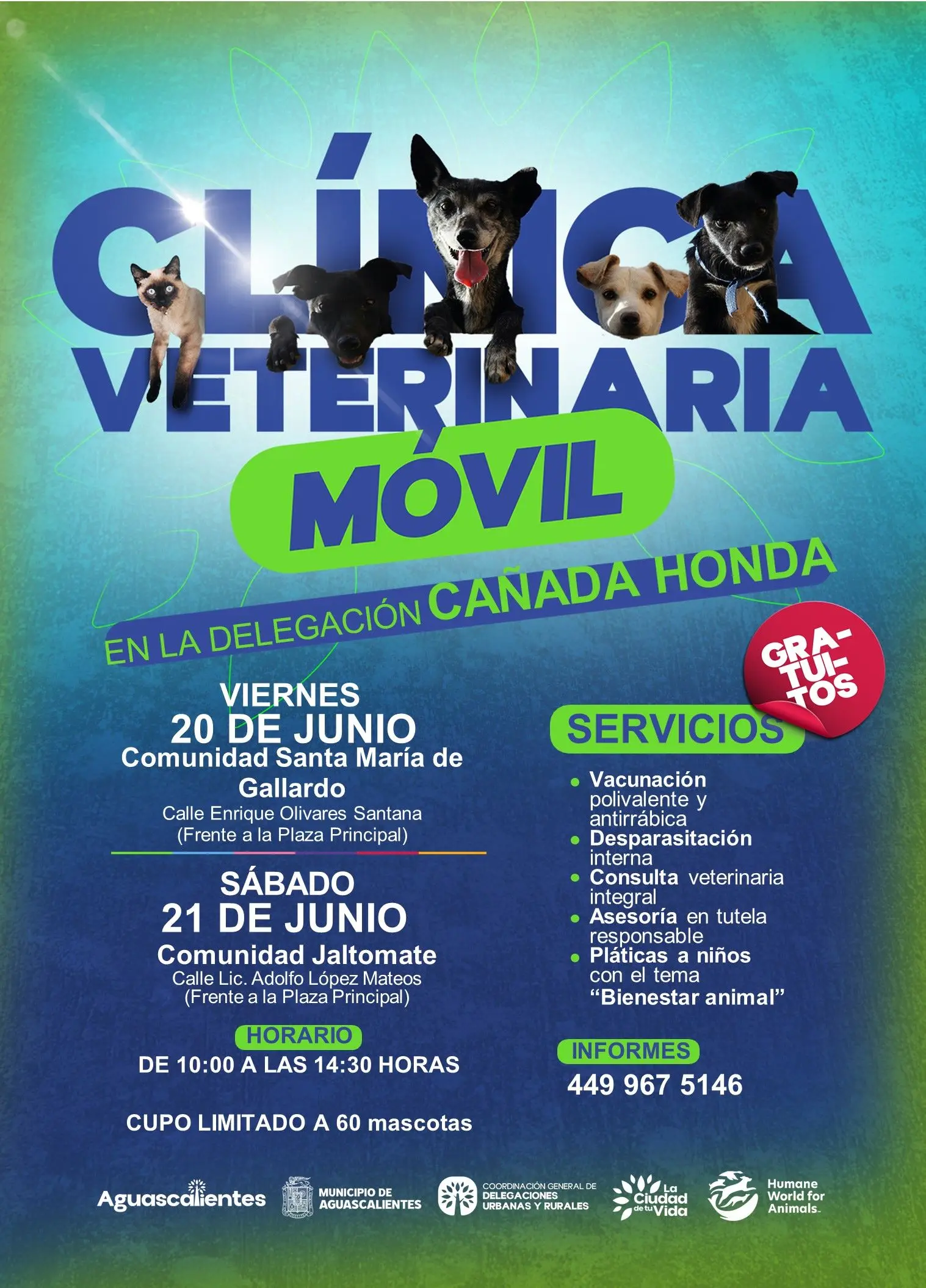 Veterinaria móvil para mascotas en Aguascalientes, gratuita. Foto: Cortesía