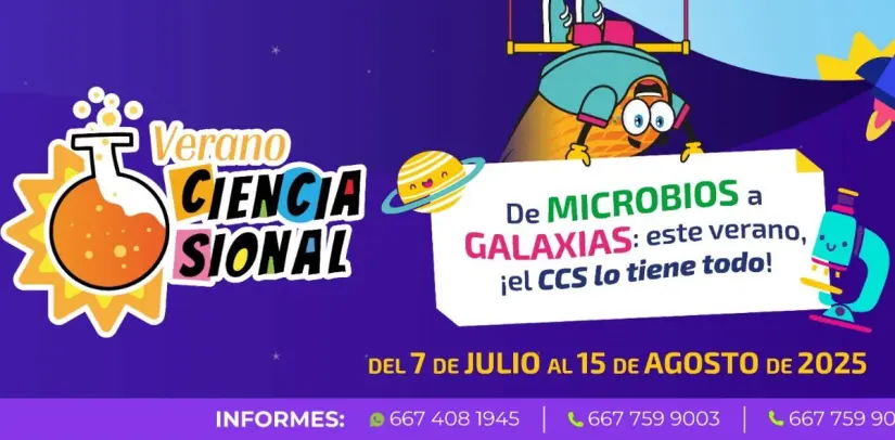 Curso de verano Curso de verano