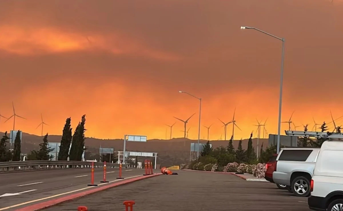 Los incendios forestales han propiciado la presencia de humo en el aire. Foto: Cortesía