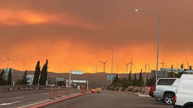 Los incendios forestales han propiciado la presencia de humo en el aire. Foto: Cortesía