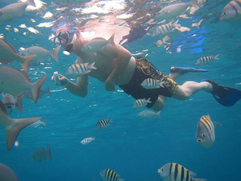 imagen recuadro Buceo en el mar de Cozumel Foto: Tripavisor