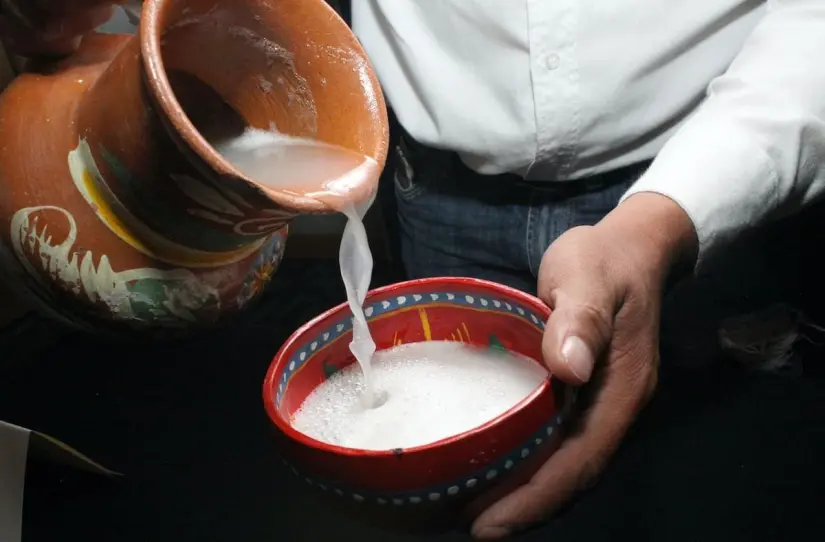 Llega la Feria del Pulque y el Mezcal 2025 a CDMX Ningún amante del pulque y el mezcal querrá perderse esta gran fiesta. Foto: Cortesía
