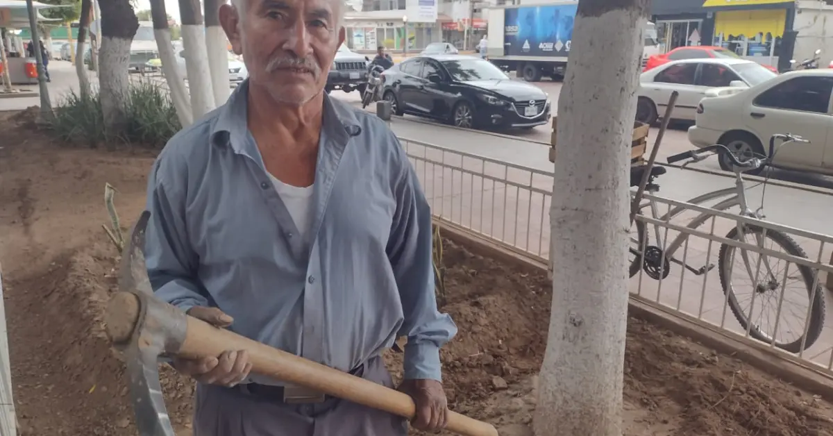 Tiene 66 años y no deja de trabajar. La historia de don Hilario en la plazuela de Navolato