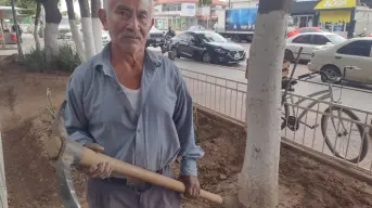 Tiene 66 años y no deja de trabajar. La historia de don Hilario en la plazuela de Navolato