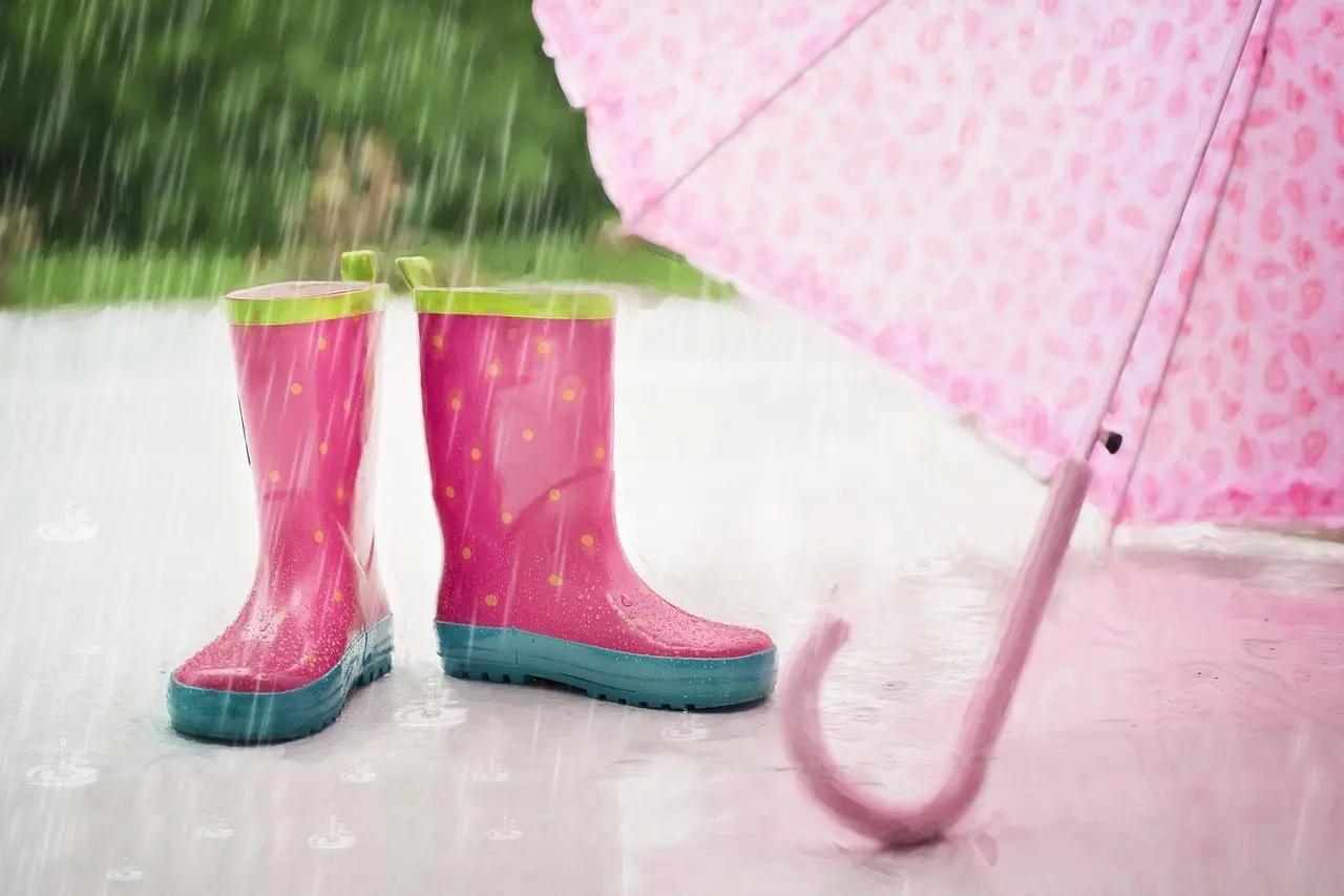 Comienzan las lluvias en México por la llegada del monzón mexicano. Foto: Pixabay