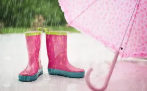 Llega el monzón mexicano 2025: ¿qué estados afectará con lluvias?