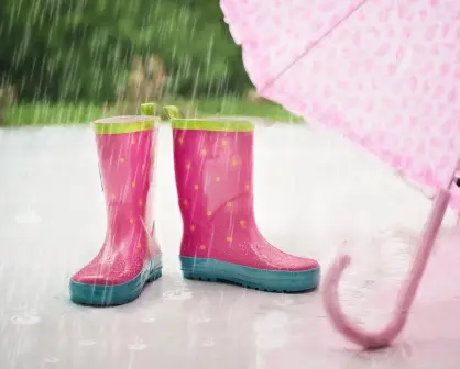 Llega el monzón mexicano 2025: ¿qué estados afectará con lluvias?