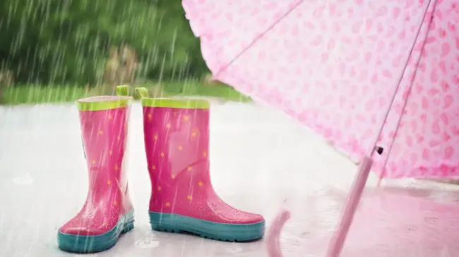 Comienzan las lluvias en México por la llegada del monzón mexicano. Foto: Pixabay