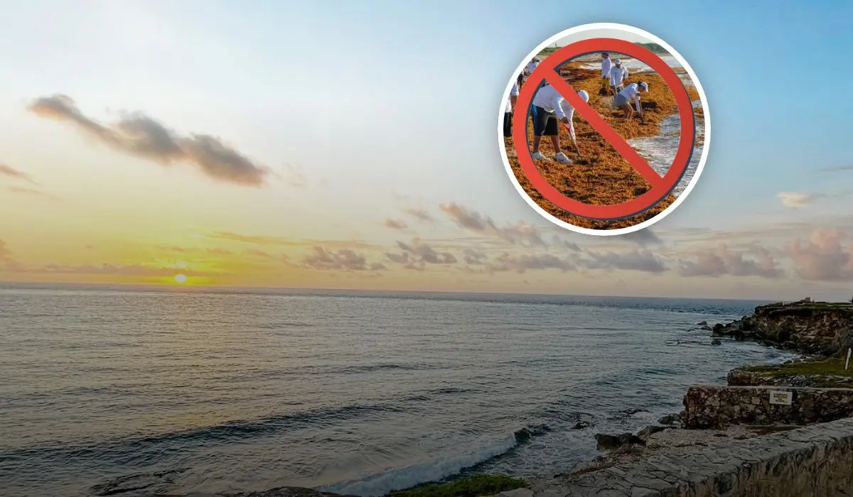 Isla Mujeres en Quintana Roo; Playas libres de sargazo para visitar este verano 2025