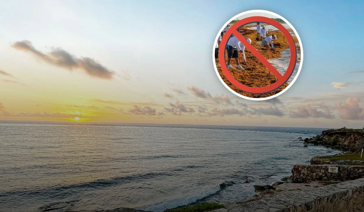 Estas vacaciones de verano 2025 estas playas de Quintana Roo están libres de Sargazo Foto: Tripavisor / National Geography