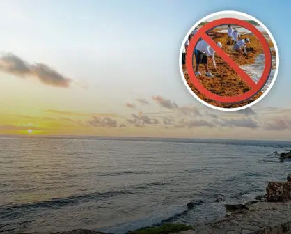 Isla Mujeres en Quintana Roo; Playas libres de sargazo para visitar este verano 2025