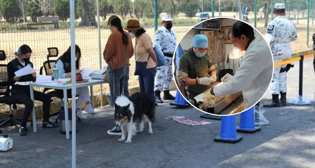 Conoce las ubicaciones de los módulos de esterilización en Zacatecas. Foto: cortesía