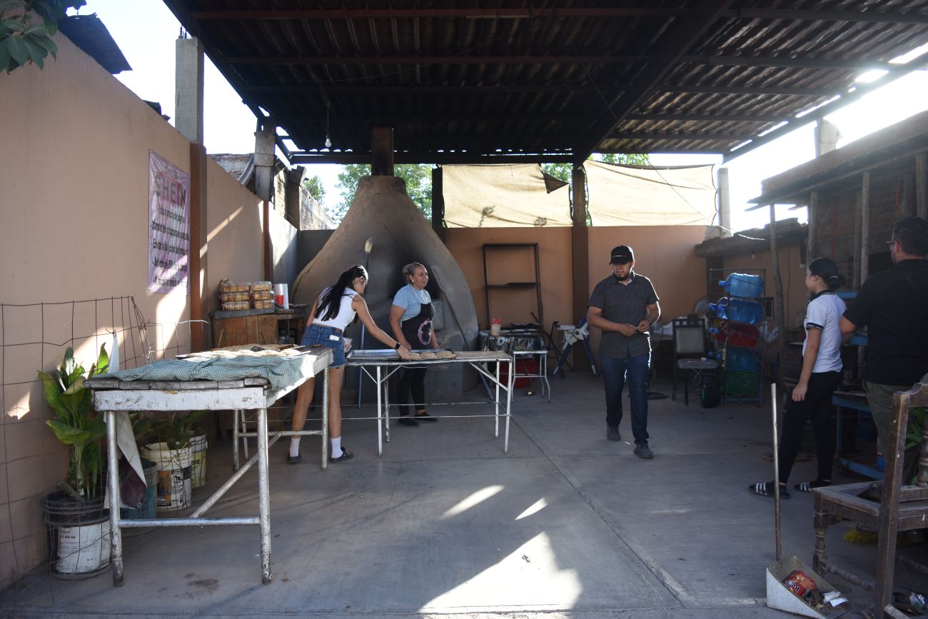 Imagen 5