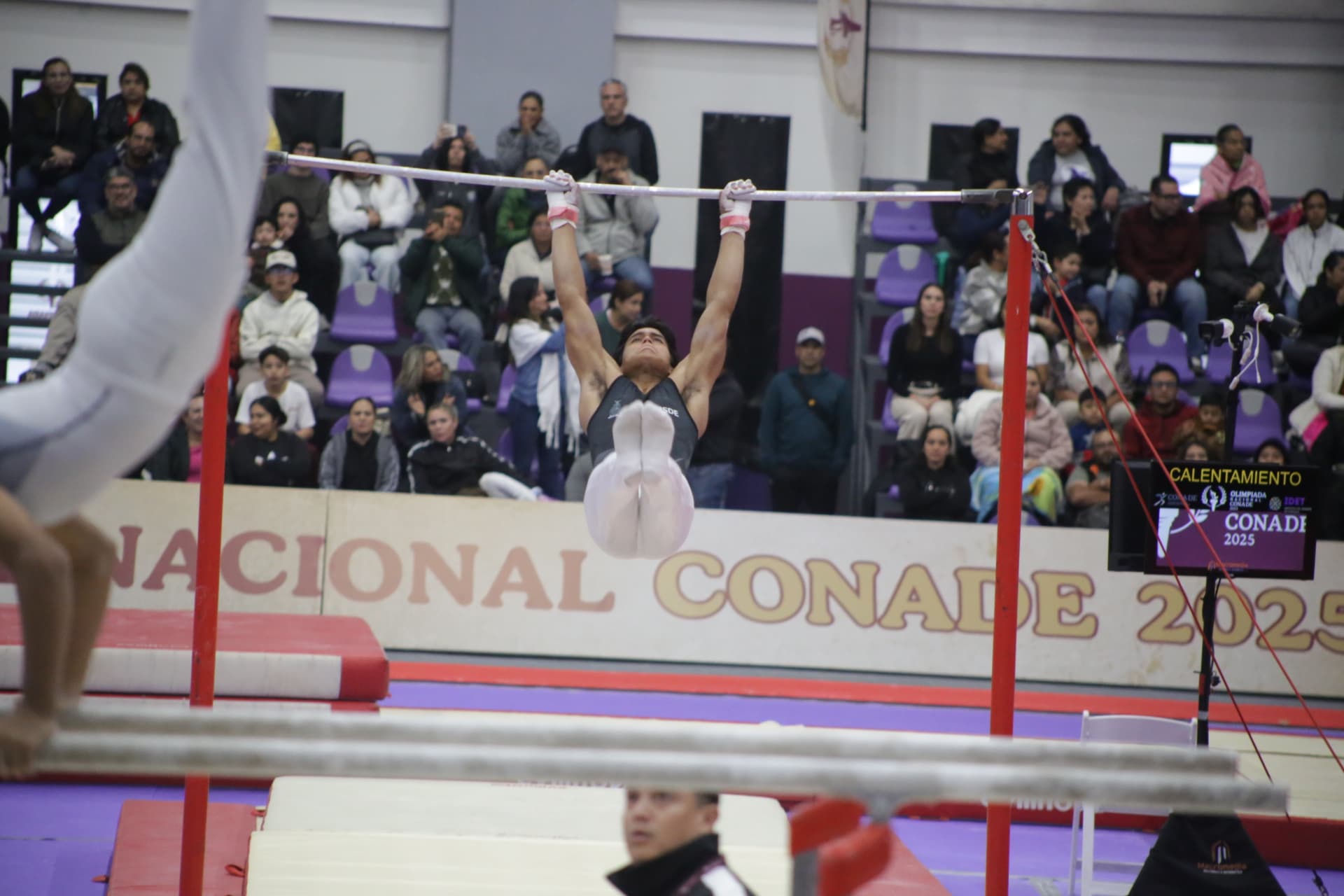 Imagen 8