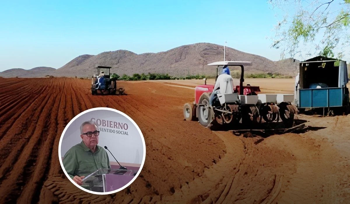 Inicia gobierno del estado entrega de semillas a temporaleros y ganaderos de Sinaloa