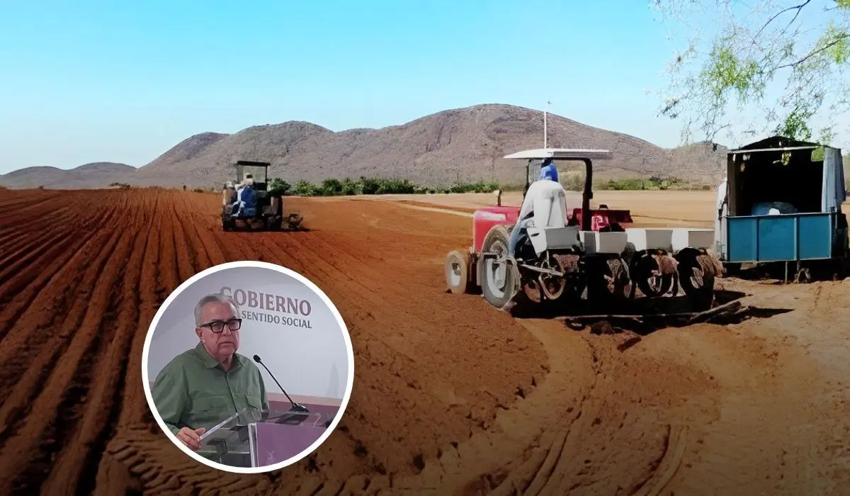 Inicia gobierno del estado entrega de semillas a temporaleros y ganaderos de Sinaloa
