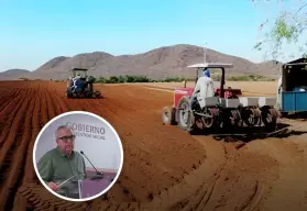 Inicia entrega de semillas para ganaderos y temporaleros de Sinaloa con inversión de 35 mdp