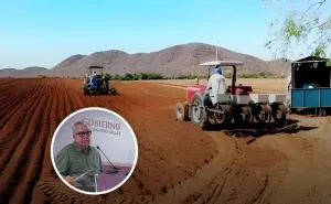 Inicia entrega de semillas para ganaderos y temporaleros de Sinaloa con inversión de 35 mdp