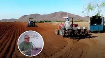 Inicia entrega de semillas para ganaderos y temporaleros de Sinaloa con inversión de 35 mdp