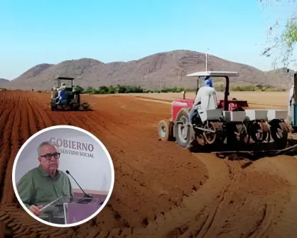 Inicia entrega de semillas para ganaderos y temporaleros de Sinaloa con inversión de 35 mdp