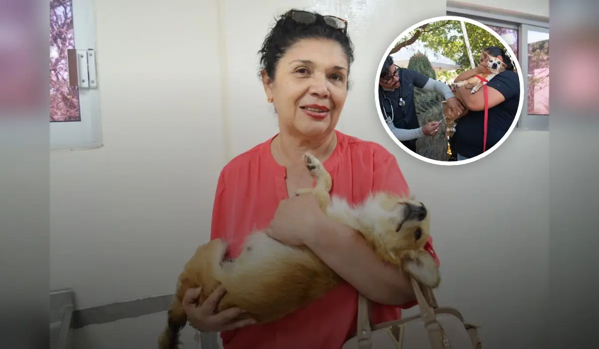 Lidia Idalia rescató a Verania del abandono y juntas encontraron en el amor una nueva oportunidad de vida. Foto: Juan Madrigal