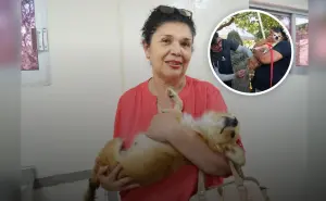 Adoptar, cuidar y esterilizar: la misión de Lidia Idalia en Culiacán por los animales sin voz