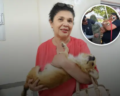 Adoptar, cuidar y esterilizar: la misión de Lidia Idalia en Culiacán por los animales sin voz